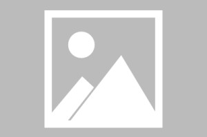 皇冠体育官方网站-少年逐梦展风采 棒垒启航新征程|教练员|赛事|经济|球员|球队