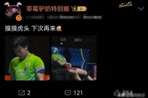 皇冠体育app下载-王楚钦赢了比赛，有人却为日本少年鼓掌，饭圈逻辑正在吃掉国乒|雨果·卡尔德拉诺|男单决赛|松岛辉空|王皓|松岛_新浪体育_新浪新闻